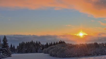 Inspiration Ridge - Homer Alaska Live Webcam - Jan 14, 2026, 10:14am AKST