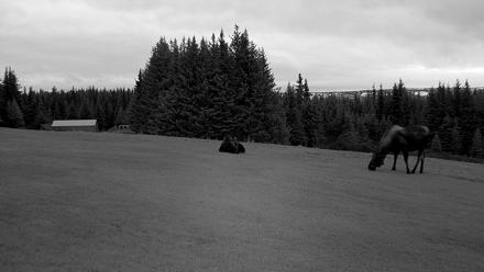 Inspiration Ridge - Homer Alaska Live Webcam - Nov 2, 2025, 9:23am AKST