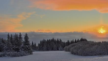 Inspiration Ridge - Homer Alaska Live Webcam - Jan 14, 2026, 10:10am AKST