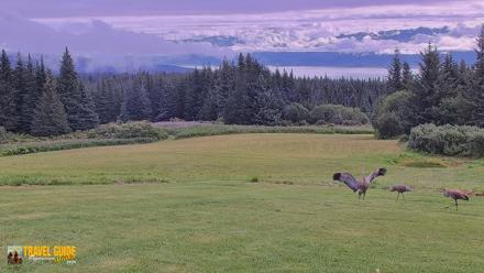 Inspiration Ridge - Homer Alaska Live Webcam - Aug 21, 2026, 11:09am AKDT