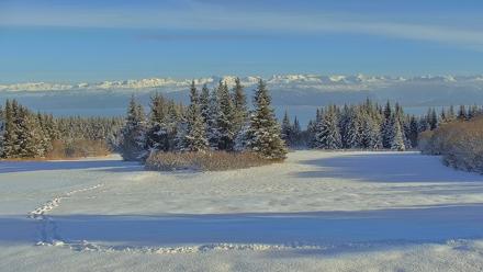 Inspiration Ridge - Homer Alaska Live Webcam - Feb 13, 2026, 2:56pm AKST