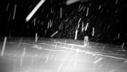 Inspiration Ridge - Homer Alaska Live Webcam - Jan 5, 2026, 9:32pm AKST