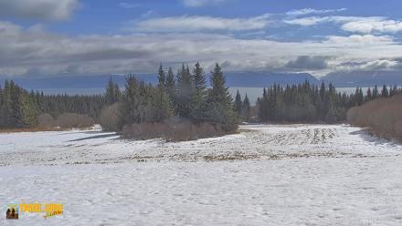 Inspiration Ridge - Homer Alaska Live Webcam - Apr 18, 2026, 12:14pm AKDT