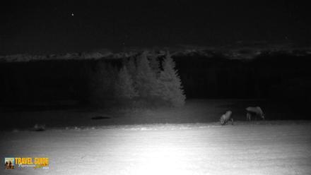 Inspiration Ridge - Homer Alaska Live Webcam - Oct 22, 2026, 12:11am AKDT