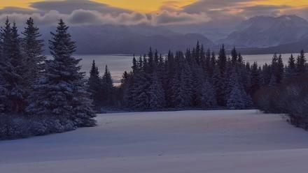 Inspiration Ridge - Homer Alaska Live Webcam - Jan 7, 2026, 9:32am AKST