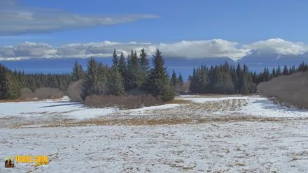 Inspiration Ridge - Homer Alaska Live Webcam - Apr 18, 2026, 1:42pm AKDT