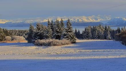 Inspiration Ridge - Homer Alaska Live Webcam - Nov 5, 2025, 2:23pm AKST