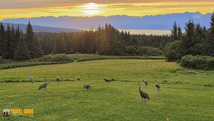 Inspiration Ridge - Homer Alaska Live Webcam - Aug 24, 2026, 7:22am AKDT