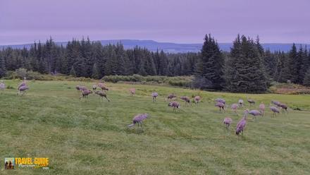 Inspiration Ridge - Homer Alaska Live Webcam - Sep 4, 2026, 9:26pm AKDT