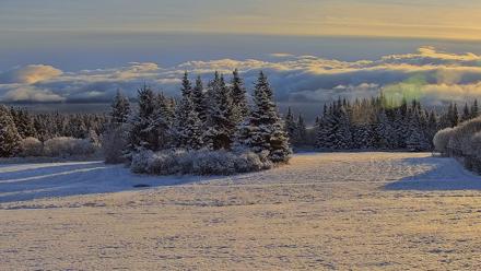 Inspiration Ridge - Homer Alaska Live Webcam - Nov 5, 2025, 9:46am AKST