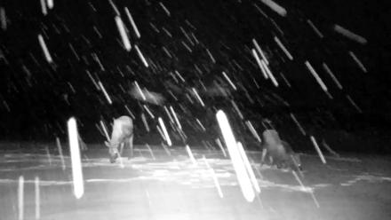 Inspiration Ridge - Homer Alaska Live Webcam - Jan 5, 2026, 9:35pm AKST