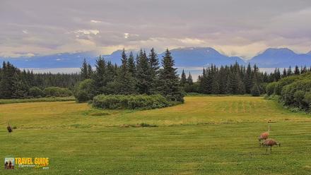 Inspiration Ridge - Homer Alaska Live Webcam - Aug 19, 2026, 7:09pm AKDT