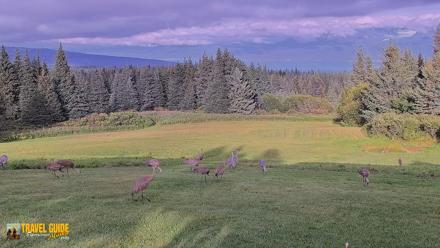 Inspiration Ridge - Homer Alaska Live Webcam - Aug 25, 2026, 7:23pm AKDT