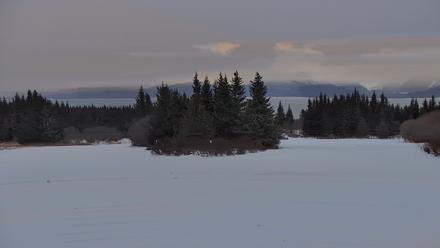Inspiration Ridge - Homer Alaska Live Webcam - Jan 17, 2026, 10:08am AKST