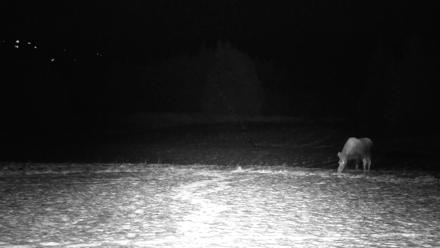 Inspiration Ridge - Homer Alaska Live Webcam - Nov 30, 2025, 4:19am AKST