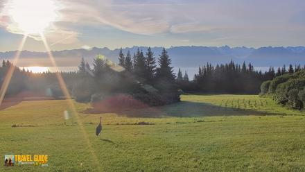 Inspiration Ridge - Homer Alaska Live Webcam - Aug 27, 2026, 7:56am AKDT
