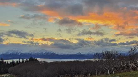 Inspiration Ridge - Homer Alaska Live Webcam - Dec 2, 2025, 9:59am AKST