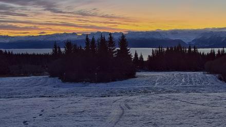 Inspiration Ridge - Homer Alaska Live Webcam - Nov 12, 2025, 8:10am AKST