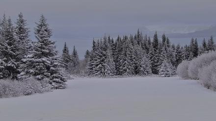 Inspiration Ridge - Homer Alaska Live Webcam - Jan 11, 2026, 4:10pm AKST
