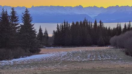 Inspiration Ridge - Homer Alaska Live Webcam - Dec 20, 2025, 9:40am AKST