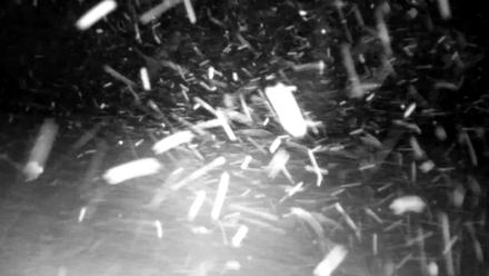 Inspiration Ridge - Homer Alaska Live Webcam - Jan 6, 2026, 2:26am AKST