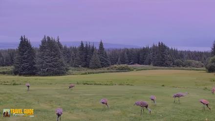 Inspiration Ridge - Homer Alaska Live Webcam - Aug 24, 2026, 4:51pm AKDT