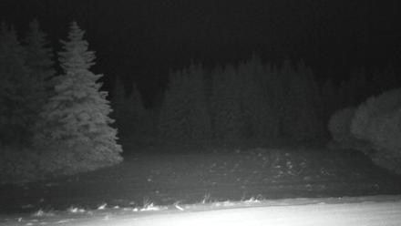 Inspiration Ridge - Homer Alaska Live Webcam - Nov 22, 2025, 3:48am AKST