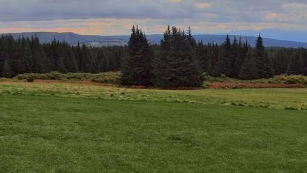 Inspiration Ridge - Homer Alaska Live Webcam - Sep 9, 2025, 7:03am AKDT