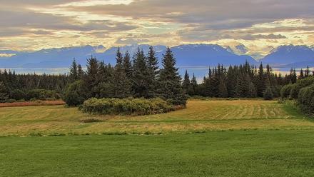 Inspiration Ridge - Homer Alaska Live Webcam - Sep 3, 2025, 9:57am AKDT