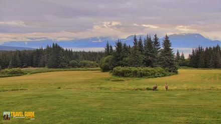 Inspiration Ridge - Homer Alaska Live Webcam - Aug 19, 2026, 7:15pm AKDT
