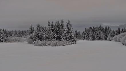 Inspiration Ridge - Homer Alaska Live Webcam - Jan 11, 2026, 3:45pm AKST