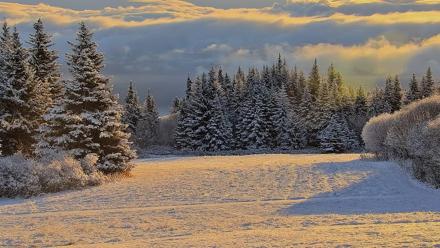 Inspiration Ridge - Homer Alaska Live Webcam - Nov 5, 2025, 9:45am AKST