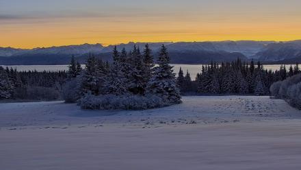 Inspiration Ridge - Homer Alaska Live Webcam - Nov 22, 2025, 8:44am AKST