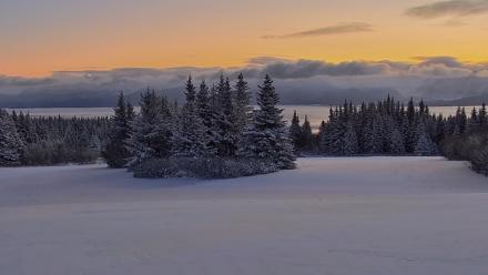 Inspiration Ridge - Homer Alaska Live Webcam - Jan 7, 2026, 9:37am AKST