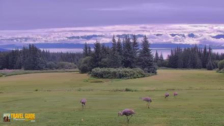 Inspiration Ridge - Homer Alaska Live Webcam - Aug 21, 2026, 11:12am AKDT