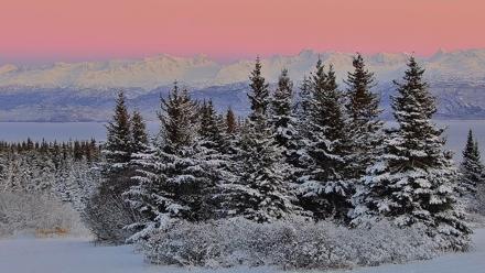 Inspiration Ridge - Homer Alaska Live Webcam - Nov 23, 2025, 4:48pm AKST