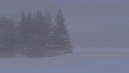 Inspiration Ridge - Homer Alaska Live Webcam - Jan 10, 2026, 9:48am AKST