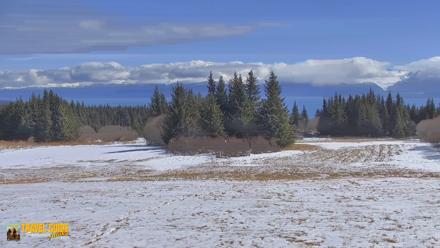 Inspiration Ridge - Homer Alaska Live Webcam - Apr 18, 2026, 1:43pm AKDT