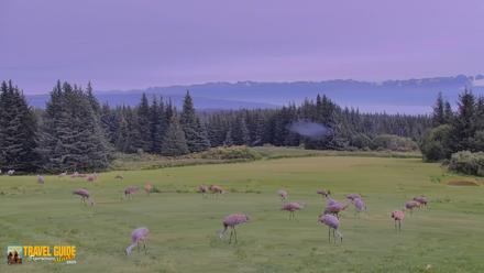 Inspiration Ridge - Homer Alaska Live Webcam - Aug 30, 2026, 2:04pm AKDT