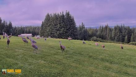 Inspiration Ridge - Homer Alaska Live Webcam - Aug 25, 2026, 8:39pm AKDT