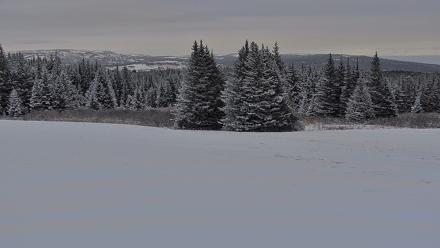 Inspiration Ridge - Homer Alaska Live Webcam - Jan 5, 2026, 10:29am AKST