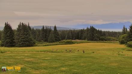 Inspiration Ridge - Homer Alaska Live Webcam - Aug 19, 2026, 4:49pm AKDT