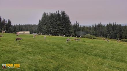 Inspiration Ridge - Homer Alaska Live Webcam - Sep 4, 2026, 11:53am AKDT