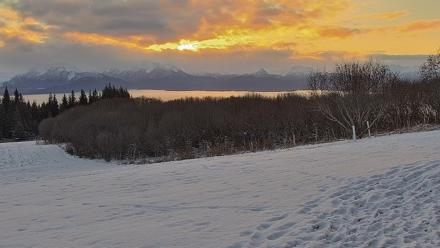 Inspiration Ridge - Homer Alaska Live Webcam - Nov 19, 2025, 9:45am AKST