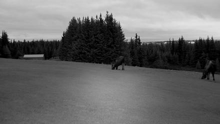 Inspiration Ridge - Homer Alaska Live Webcam - Nov 2, 2025, 9:19am AKST