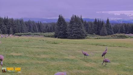 Inspiration Ridge - Homer Alaska Live Webcam - Aug 21, 2026, 11:11am AKDT