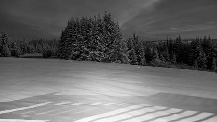 Inspiration Ridge - Homer Alaska Live Webcam - Nov 22, 2025, 8:12am AKST