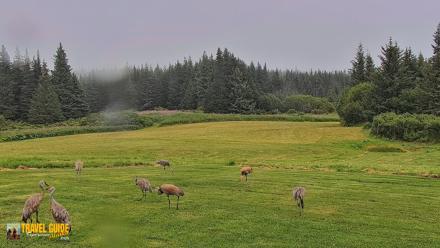Inspiration Ridge - Homer Alaska Live Webcam - Aug 19, 2026, 5:40pm AKDT