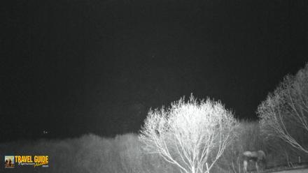 Inspiration Ridge - Homer Alaska Live Webcam - Apr 15, 2026, 12:35am AKDT