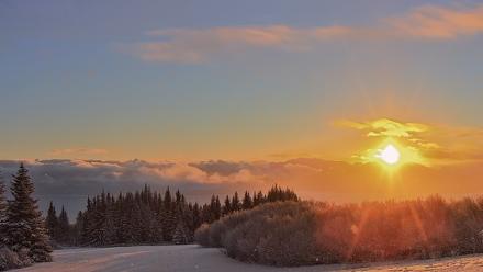 Inspiration Ridge - Homer Alaska Live Webcam - Jan 14, 2026, 10:23am AKST